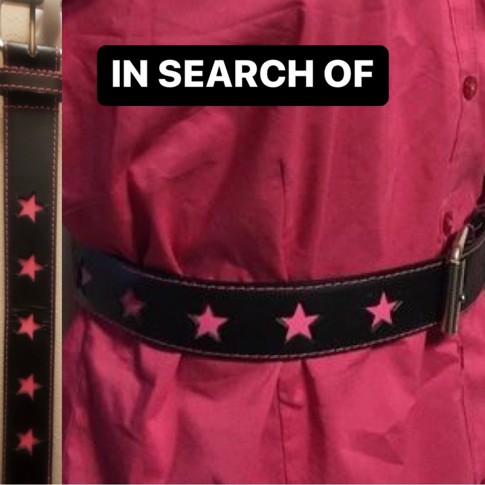 In Search of ~ Pink & Black Star Belt